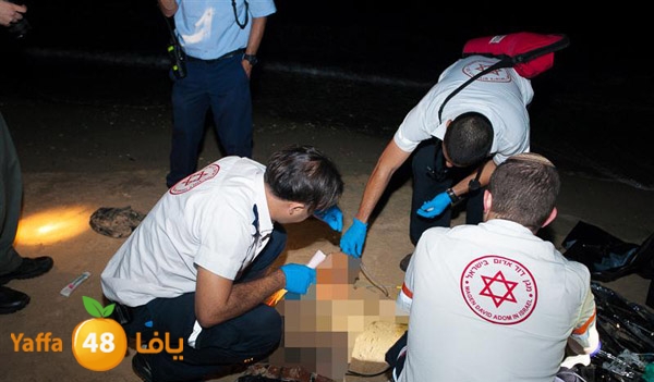 3aregmontreeh520 (13).jpg